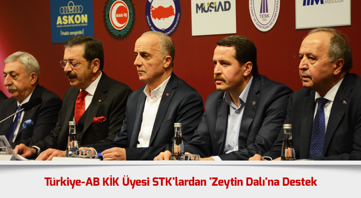 Türkiye-AB KİK Üyesi STK'lardan 'Zeytin Dalı'na Destek